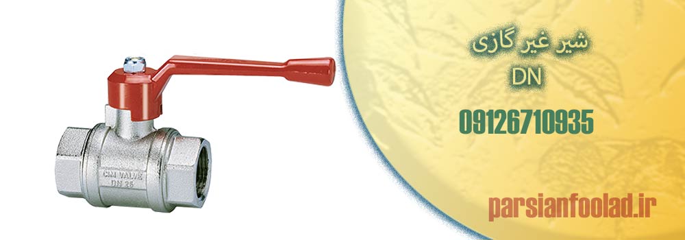 شیر غیر گازی DN